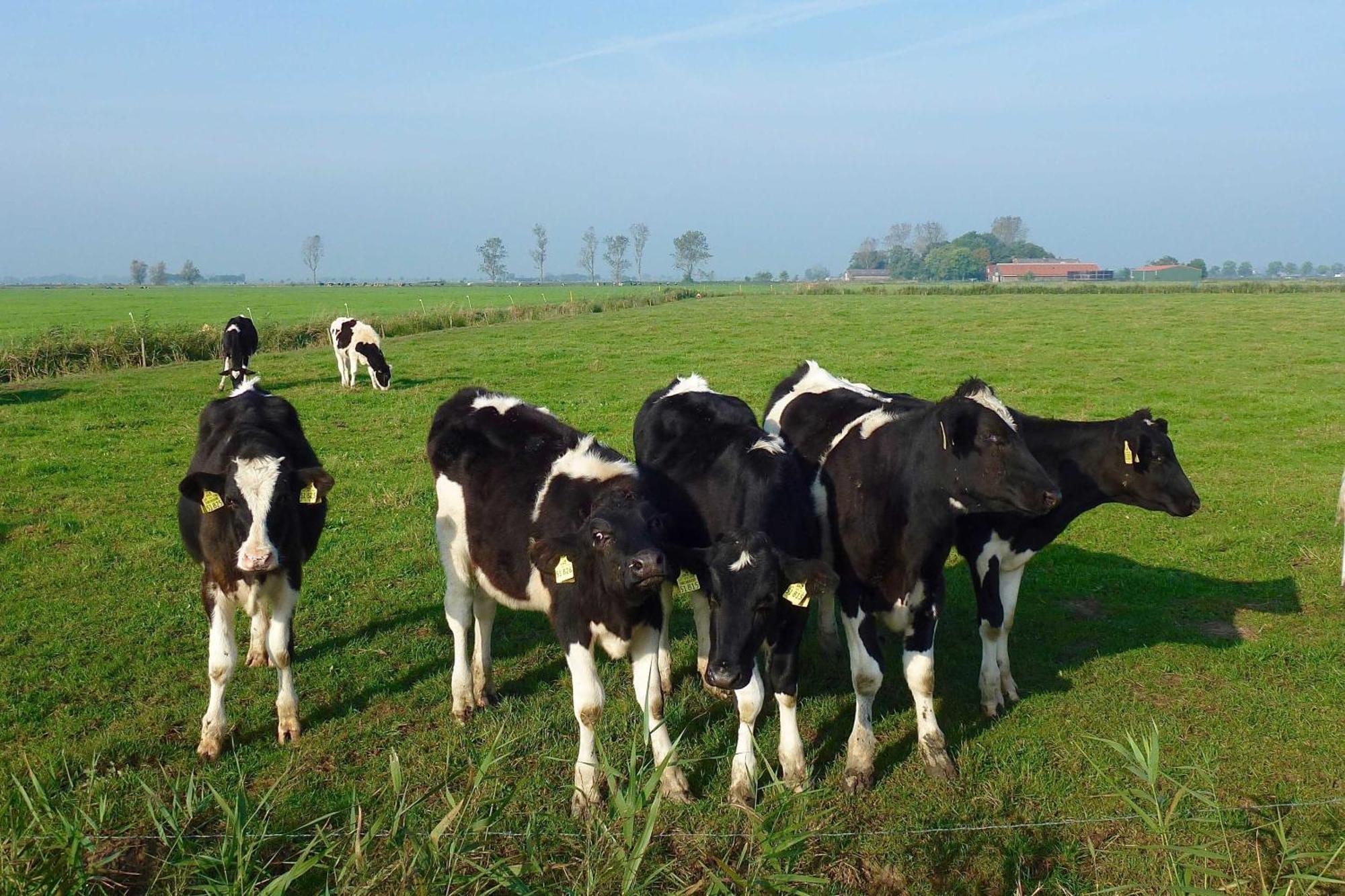 Ferienhof Van Vlyten_ 45006 Jemgum ภายนอก รูปภาพ
